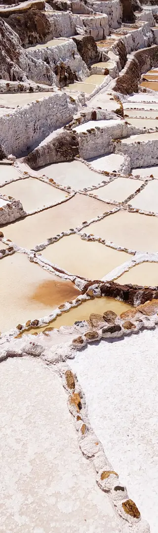 Das weisse Gold der Anden